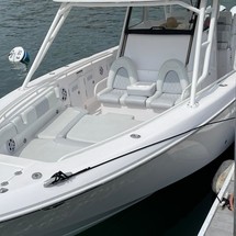 Everglades 355 cc