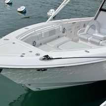 Everglades 355 cc