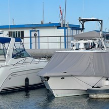 Everglades 355 cc