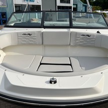 Sea Ray SPX 190