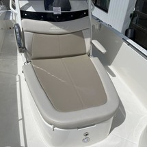 Boston Whaler 270 Dauntless