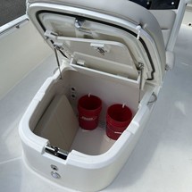 Boston Whaler 270 Dauntless