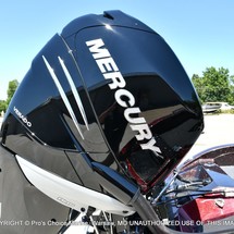 Everglades 230 cc w/ 250 verado