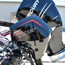 Everglades 230 cc w/ 250 verado