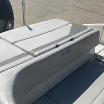 Sea Ray SPX 210 OB