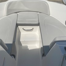 Sea Ray SPX 210 OB