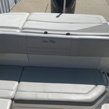 Sea Ray SPX 210 OB