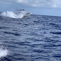 Hydra-sports 2800 vector wa