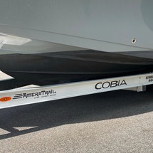 Cobia 217 center console