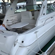 Sea Ray 310 Sundancer