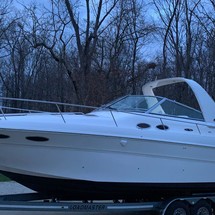 Sea Ray 310 Sundancer