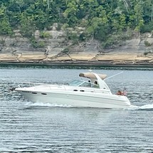 Sea Ray 310 Sundancer