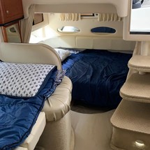 Sea Ray 310 Sundancer
