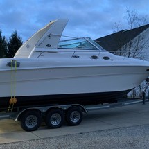 Sea Ray 310 Sundancer