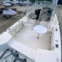 Trophy 2302