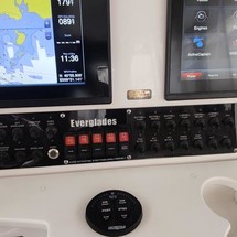 Everglades 355 cc