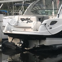 Rinker 290 EX