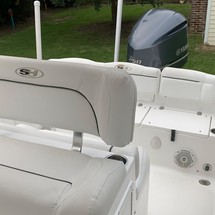 Sea Ray hunt ultra 211