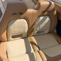 Sea Ray 350 SLX