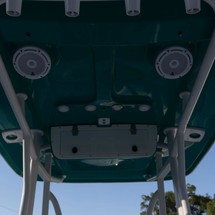 Sea Ray hunt ultra 211