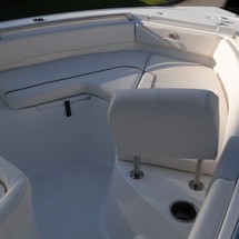 Sea Ray hunt ultra 211
