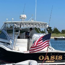 Blackfin 29 combi