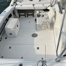 Blackfin 29 combi