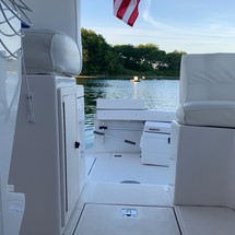 Blackfin 29 combi