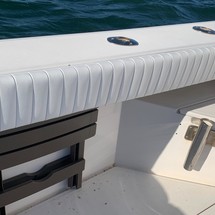 Blackfin 29 combi