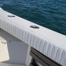 Blackfin 29 combi