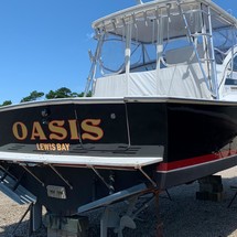 Blackfin 29 combi
