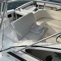 Blackfin 29 combi
