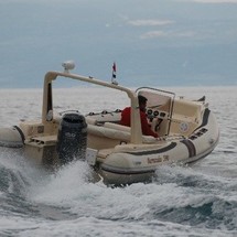 Barracuda 590