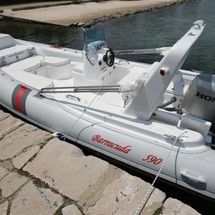 Barracuda 590