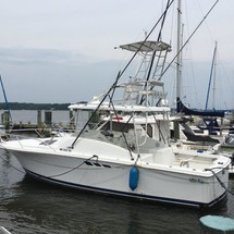 Luhrs 290 open