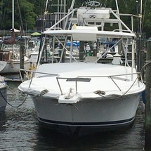 Luhrs 290 open