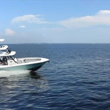 Everglades 355 cc