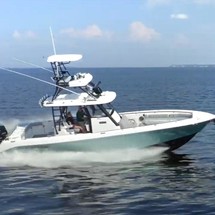 Everglades 355 cc