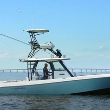 Everglades 355 cc