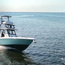 Everglades 355 cc