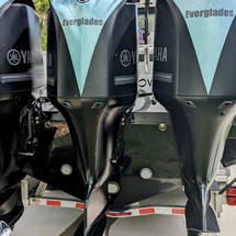 Everglades 355 cc