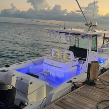 Boston Whaler 320 Outrage