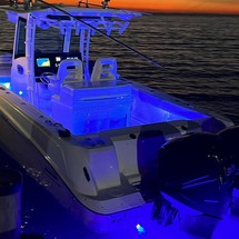 Boston Whaler 320 Outrage