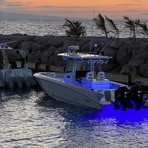 Boston Whaler 320 Outrage