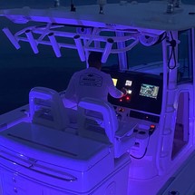 Boston Whaler 320 Outrage