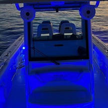 Boston Whaler 320 Outrage