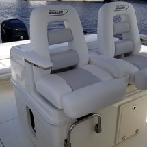 Boston Whaler 320 Outrage
