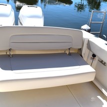 Boston Whaler 270 Vantage