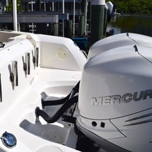 Boston Whaler 270 Vantage