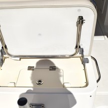 Boston Whaler 270 Vantage